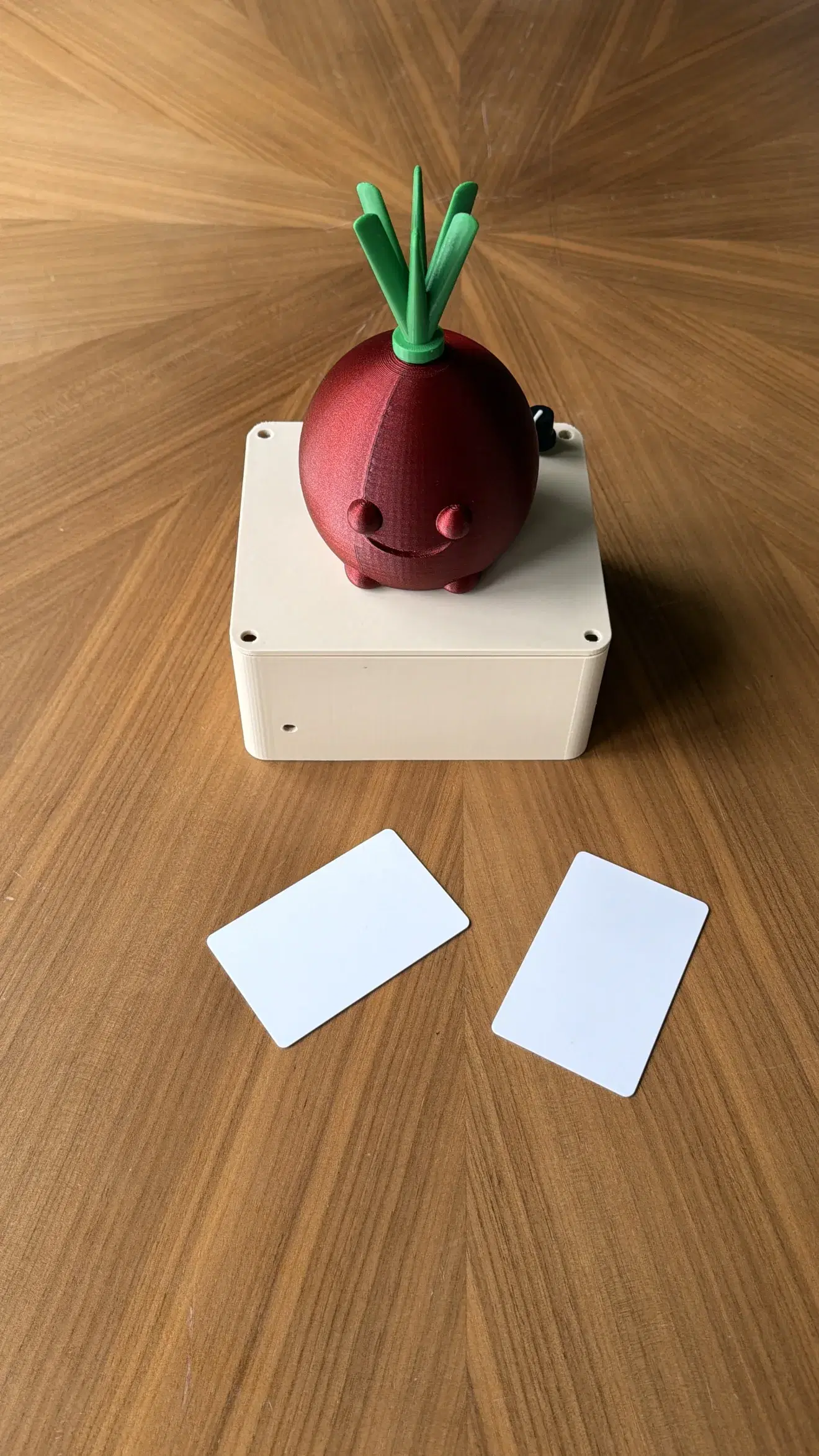 Working Shamandar beetroot audio prototype on its electronics enclosure with two NFC cards